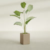 Tolga Medium Rectangle Fiberglass Planter - 16 in x 16 in x 24 in - Metallic Gold - Metallic Gold,16 in x 16 in x 24 in