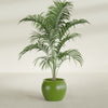 Fishbowl Small Round Fiberglass Planter - 16 in x 16 in x 14 in - Satin Green - Satin Green,16 in x 16 in x 14 in