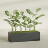 Torino Extra Large Wide Rectangle Fiberglass Planter - 60 in x 24 in x 18 in - Matte Charcoal - Matte Charcoal,60 in x 24 in x 18 in