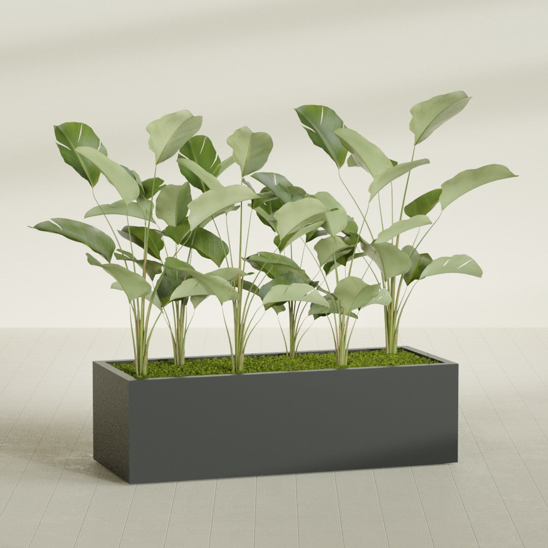 Torino Extra Large Wide Rectangle Fiberglass Planter - 60 in x 24 in x 18 in - Matte Charcoal - Matte Charcoal,60 in x 24 in x 18 in
