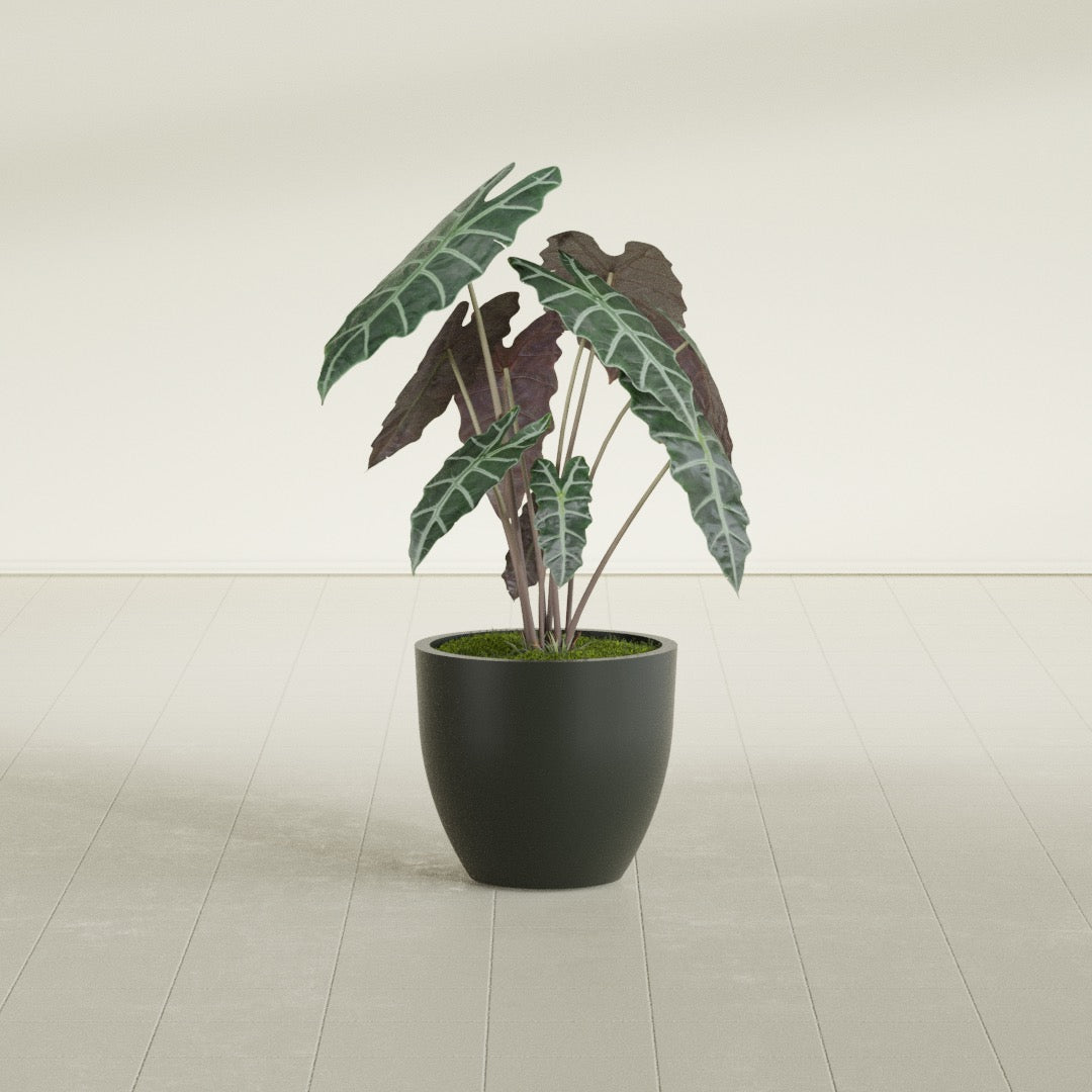 Wannsee Medium Round Fiberglass Planter - 22 in x 22 in x 19 in - Matte Charcoal - Matte Charcoal,22 in x 22 in x 19 in