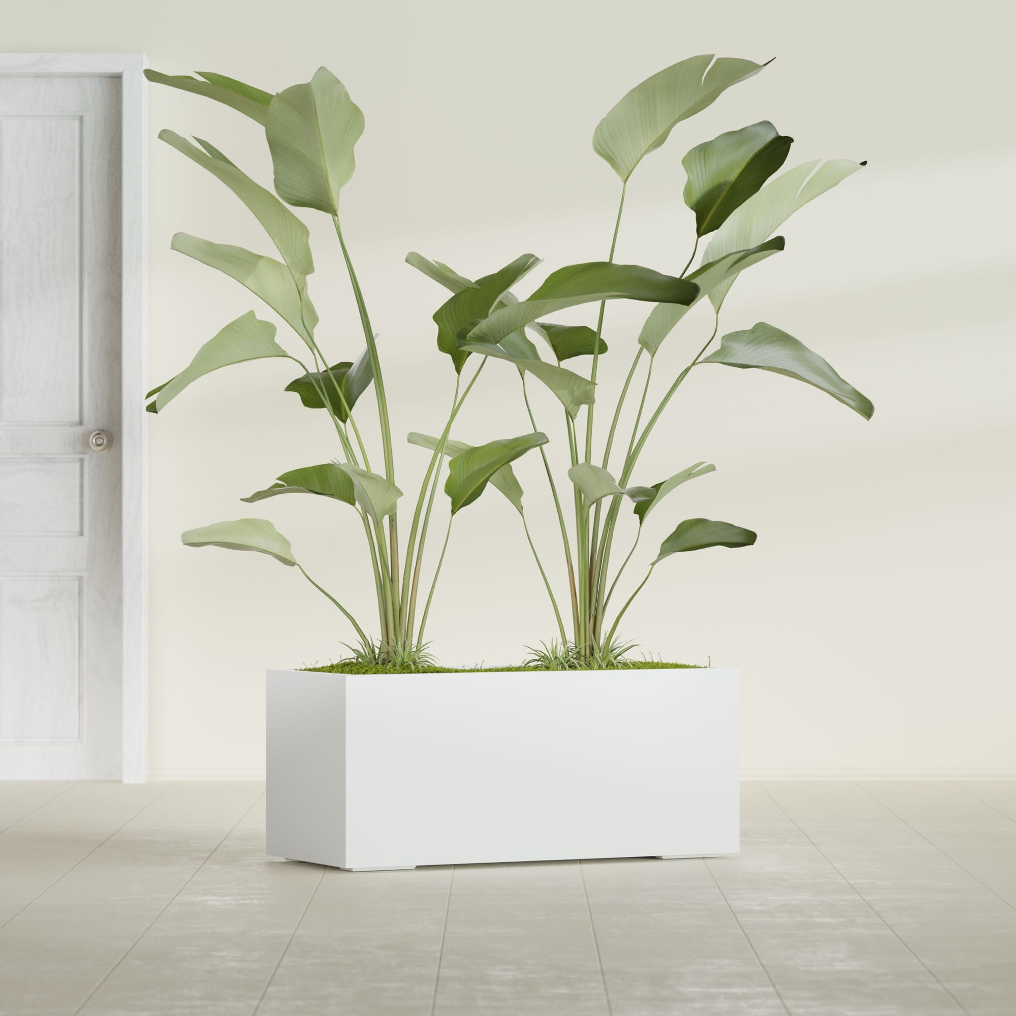 Badalona Large Tall Rectangle Fiberglass Planter - 39 in x 17 in x 17 in - Gloss White - Gloss White,39 in x 17 in x 17 in