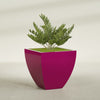 Lima Large Tapered Square Fiberglass Planter - 30 in x 30 in x 30 in - Gloss Eggplant - Gloss Eggplant,30 in x 30 in x 30 in
