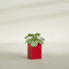 Miami Small Rectangle Fiberglass Planter - 12 in x 12 in x 18 in - Gloss Red - Gloss Red,12 in x 12 in x 18 in