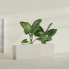Panama Extra Large Long Rectangle Fiberglass Planter - 48 in x 12 in x 18 in - Satin Beige - Satin Beige,48 in x 12 in x 18 in