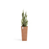 Rotterdam High Medium Square Planter - 12.6 in x 12.6 in x 27.5 in - Terracotta - Terracotta,12.5 in x 12.5 in x 27.5 in,Planter Only