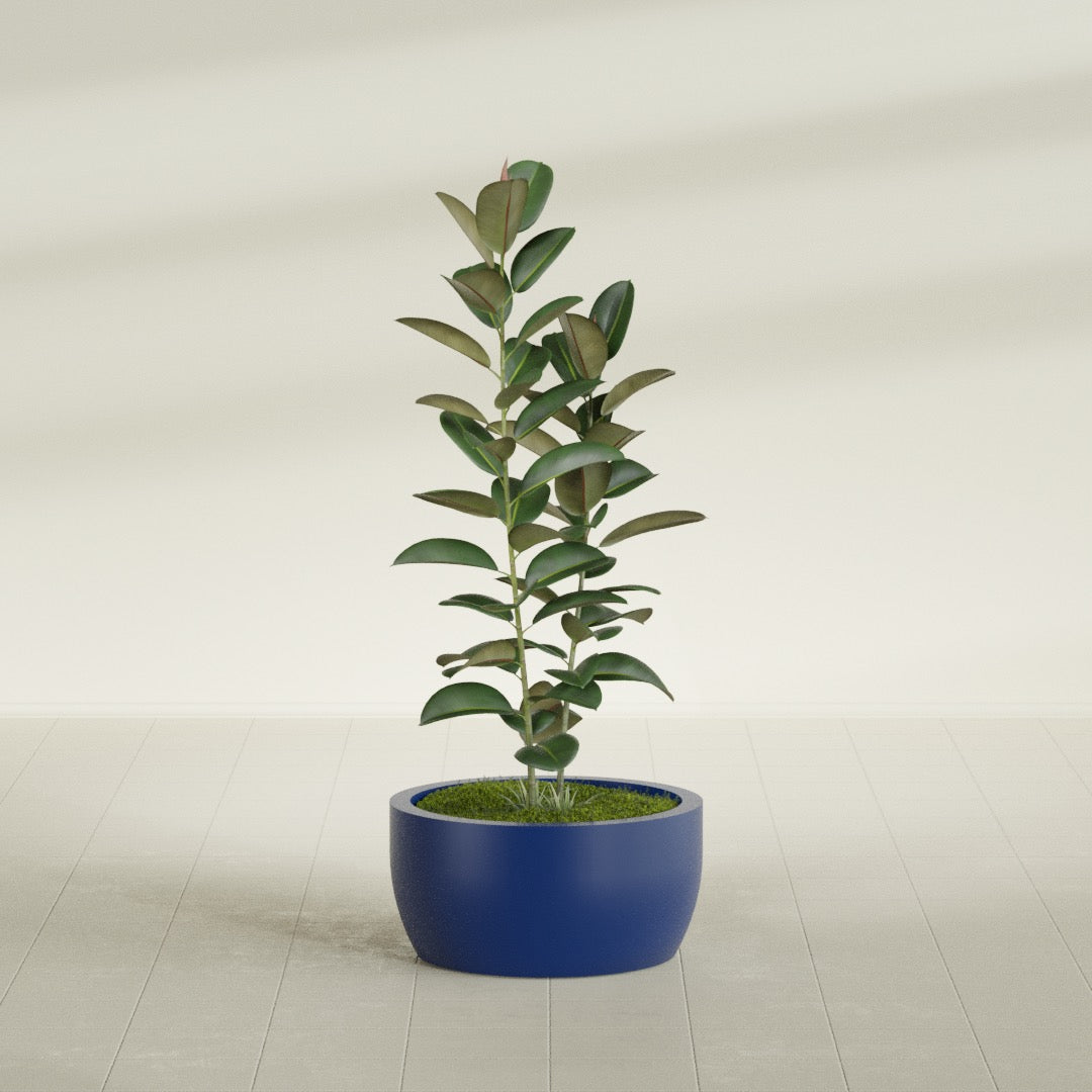 Casablanca Medium Round Low Bowl Fiberglass Planter - 24 in x 24 in x 12 in - Matte Cobalt Blue - Matte Cobalt Blue,24 in x 24 in x 12 in
