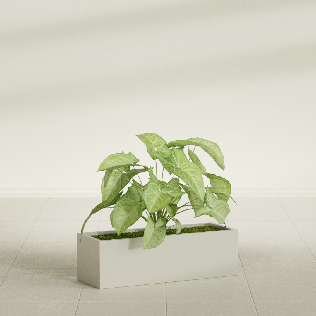 Reade Small Tabletop Rectangle Fiberglass Planter - 14 in x 5 in x 4.3 in - Satin Beige - Satin Beige,14 in x 5 in x 4.3 in