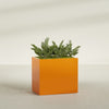 Brisbane Large Rectangle Fiberglass Planter - 36 in x 24 in x 32 in - Gloss Tangerine - Gloss Tangerine,36 in x 24 in x 32 in