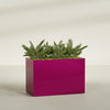 Brisbane Extra Large Long Rectangle Fiberglass Planter - 48 in x 24 in x 32 in - Gloss Eggplant - Gloss Eggplant,48 in x 24 in x 32 in