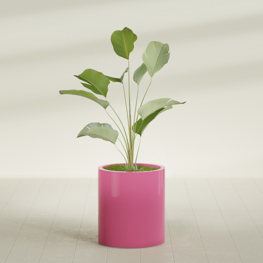 Rio Grande Medium Round Fiberglass Planter - 18 in x 18 in x 20 in - Gloss Pink Violet - Gloss Pink Violet,18 in x 18 in x 20 in