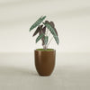Valencia Small Round Fiberglass Planter - 15 in x 15 in x 18 in - Metallic Bronze - Metallic Bronze,15 in x 15 in x 18 in