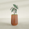 Tall Hayden Medium Round Fiberglass Planter - 12 in x 12 in x 20 in - Matte Terracotta - Matte Terracotta,12 in x 12 in x 20 in