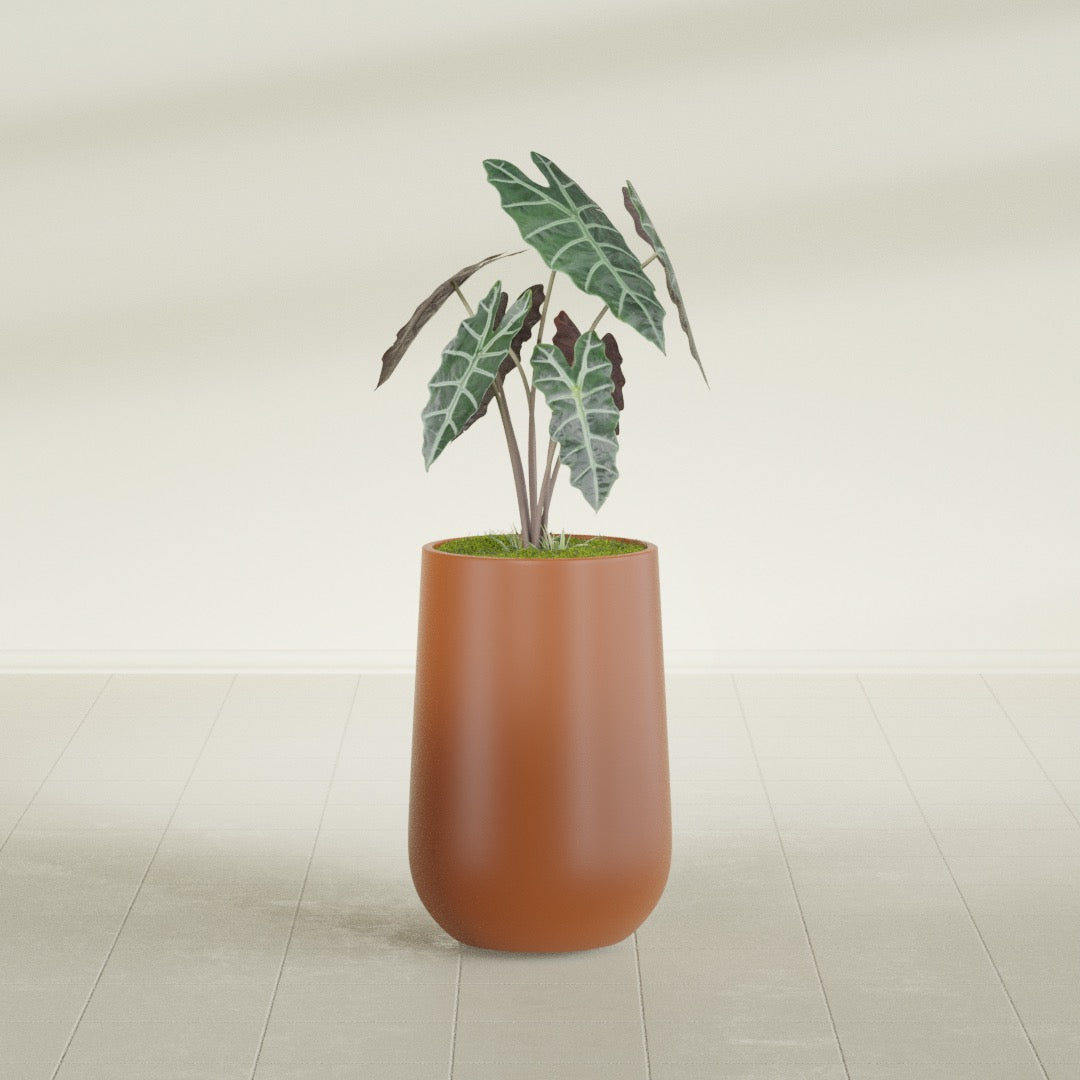 Tall Hayden Medium Round Fiberglass Planter - 12 in x 12 in x 20 in - Matte Terracotta - Matte Terracotta,12 in x 12 in x 20 in