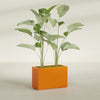Tolga Large Rectangle Fiberglass Planter - 36 in x 16 in x 24 in - Gloss Tangerine - Gloss Tangerine,36 in x 16 in x 24 in