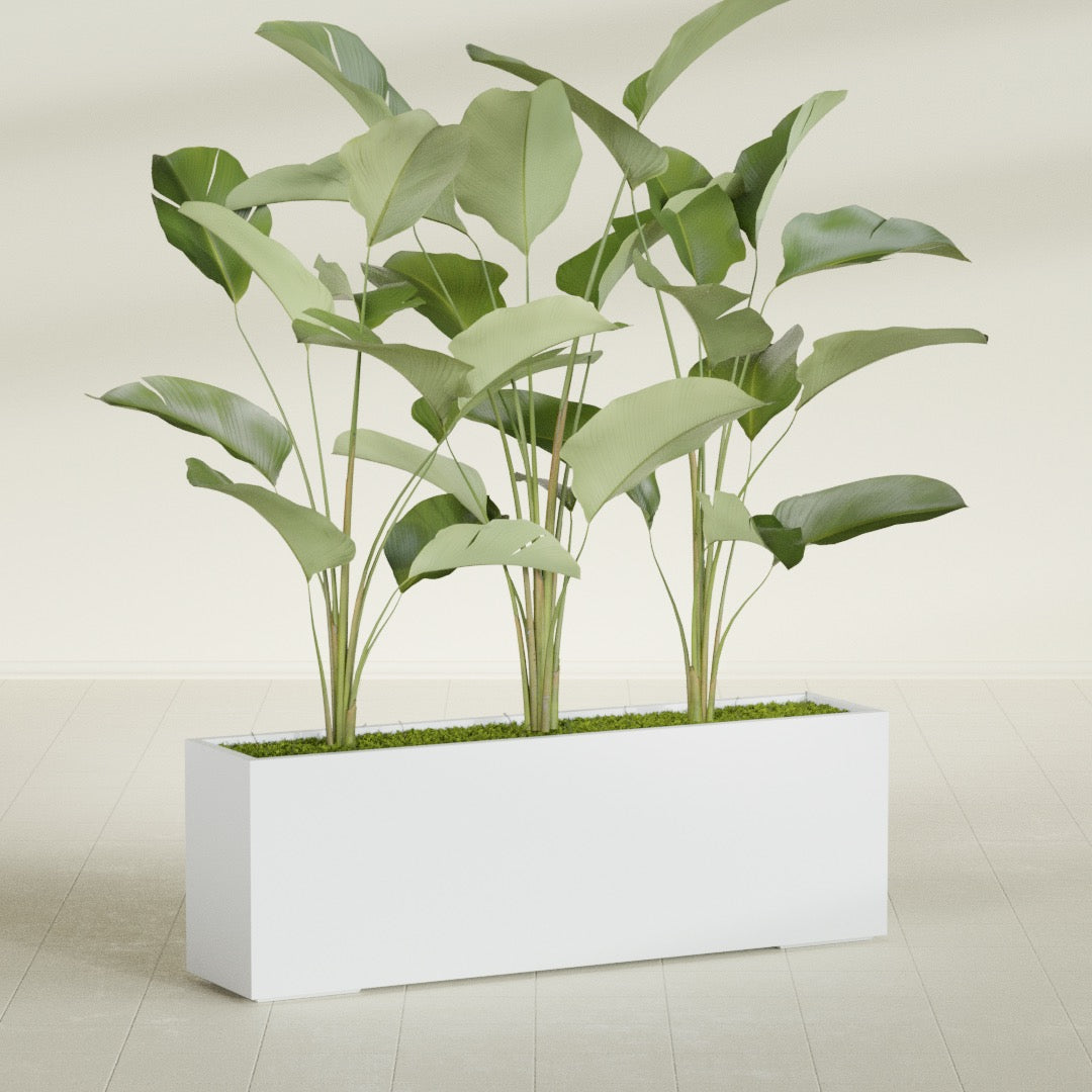 Tolga Extra Large Long Rectangle Fiberglass Planter - 72 in x 16 in x 24 in - Gloss White - Gloss White,72 in x 16 in x 24 in
