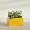 Granada Extra Large Long Rectangle Fiberglass Planter - 48 in x 24 in x 24 in - Gloss Saffron - Gloss Saffron,48 in x 24 in x 24 in
