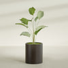 Rio Grande Medium Round Fiberglass Planter - 18 in x 18 in x 20 in - Matte Brown - Matte Brown,18 in x 18 in x 20 in