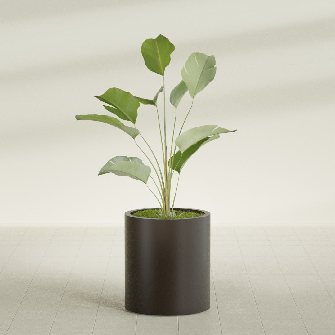 Rio Grande Medium Round Fiberglass Planter - 18 in x 18 in x 20 in - Matte Brown - Matte Brown,18 in x 18 in x 20 in