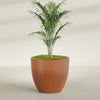 Wannsee Extra Large Round Fiberglass Planter - 50 in x 50 in x 44 in - Matte Terracotta - Matte Terracotta,50 in x 50 in x 44 in