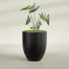 Valencia Large Round Fiberglass Planter - 27 in x 27 in x 31 in - Matte Black - Matte Black,27 in x 27 in x 31 in