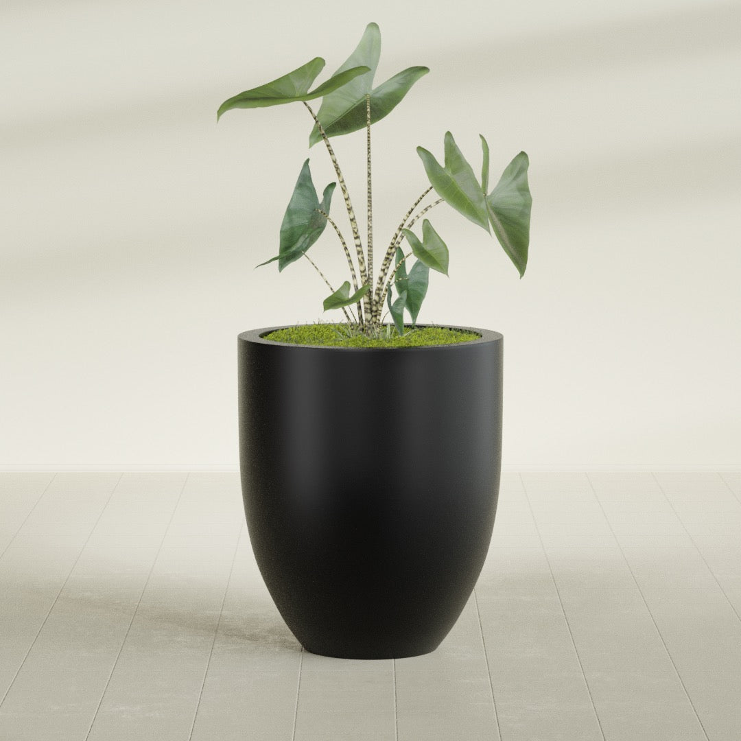 Valencia Large Round Fiberglass Planter - 27 in x 27 in x 31 in - Matte Black - Matte Black,27 in x 27 in x 31 in