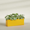 Miami Extra Large Narrow Rectangle Fiberglass Planter - 48 in x 12 in x 18 in - Gloss Saffron - Gloss Saffron,48 in x 12 in x 18 in