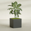 Montroy Large Cube Square Fiberglass Planter - 36 in x 36 in x 36 in - Matte Charcoal - Matte Charcoal,36 in x 36 in x 36 in