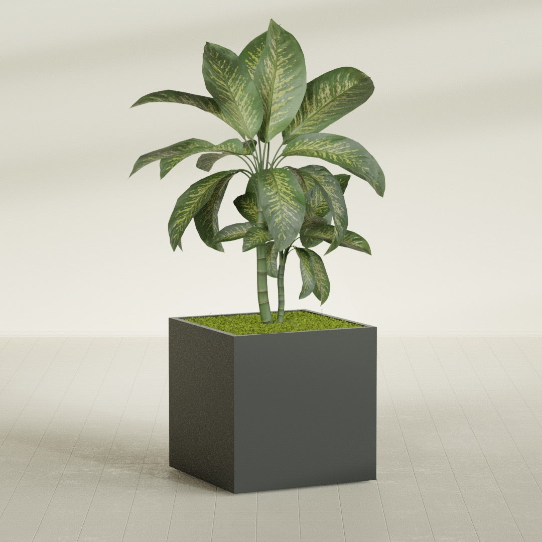 Montroy Large Cube Square Fiberglass Planter - 36 in x 36 in x 36 in - Matte Charcoal - Matte Charcoal,36 in x 36 in x 36 in