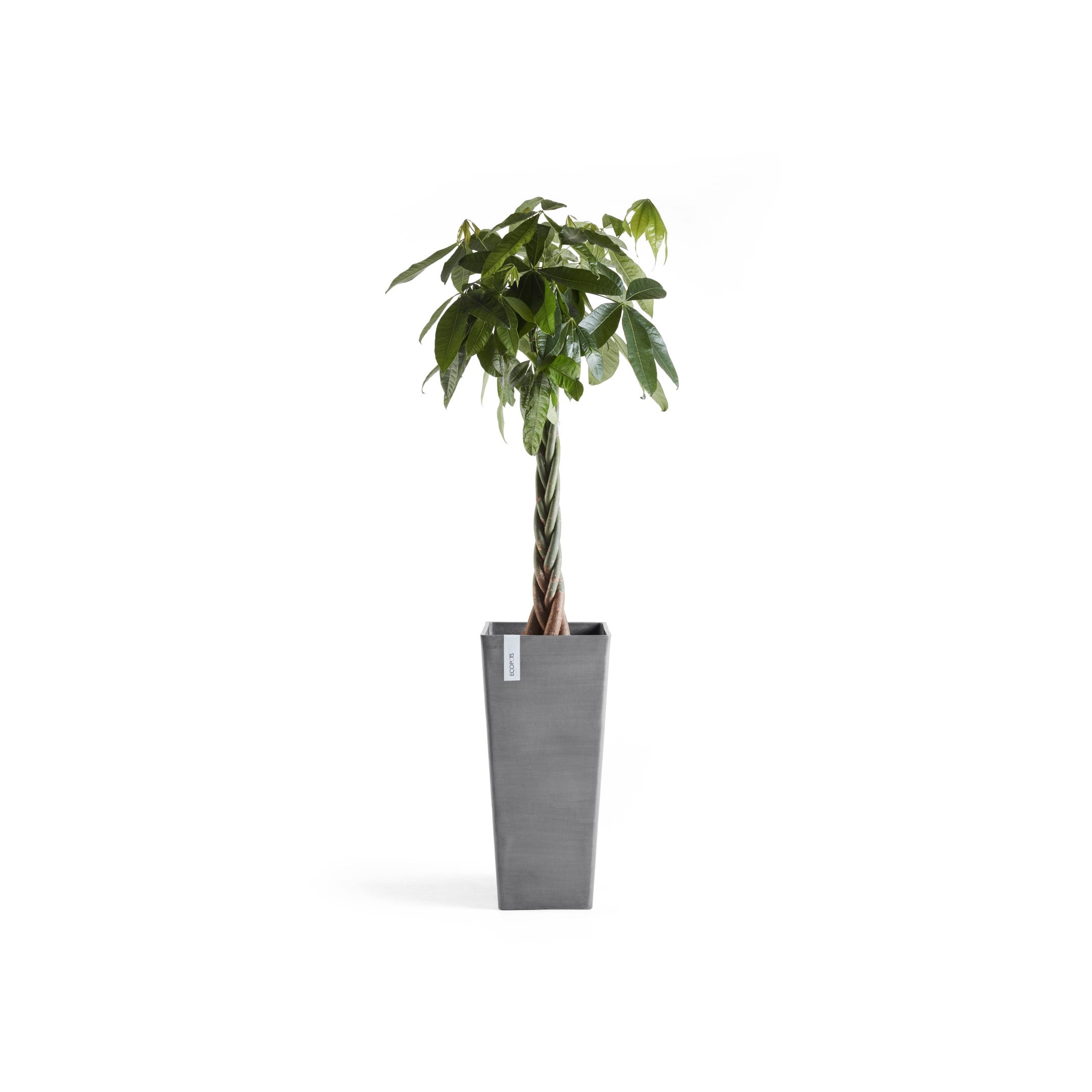 Rotterdam Medium Tall Square Planter - 12.6 in x 12.6 in x 27.5 in - Grey - Grey,12.5 in x 12.5 in x 27.5 in,Planter Only