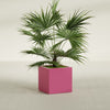 Montroy Medium Cube Square Fiberglass Planter - 24 in x 24 in x 24 in - Gloss Pink Violet - Gloss Pink Violet,24 in x 24 in x 24 in