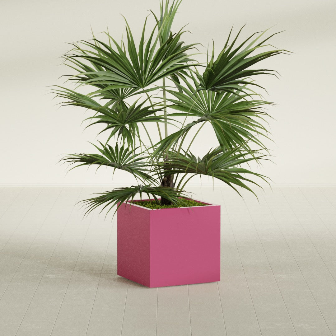 Montroy Medium Cube Square Fiberglass Planter - 24 in x 24 in x 24 in - Gloss Pink Violet - Gloss Pink Violet,24 in x 24 in x 24 in