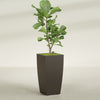 Toulan Large Tall Tapered Square Fiberglass Planter - 18 in x 18 in x 36 in - Matte Brown - Matte Brown,18 in x 18 in x 36 in