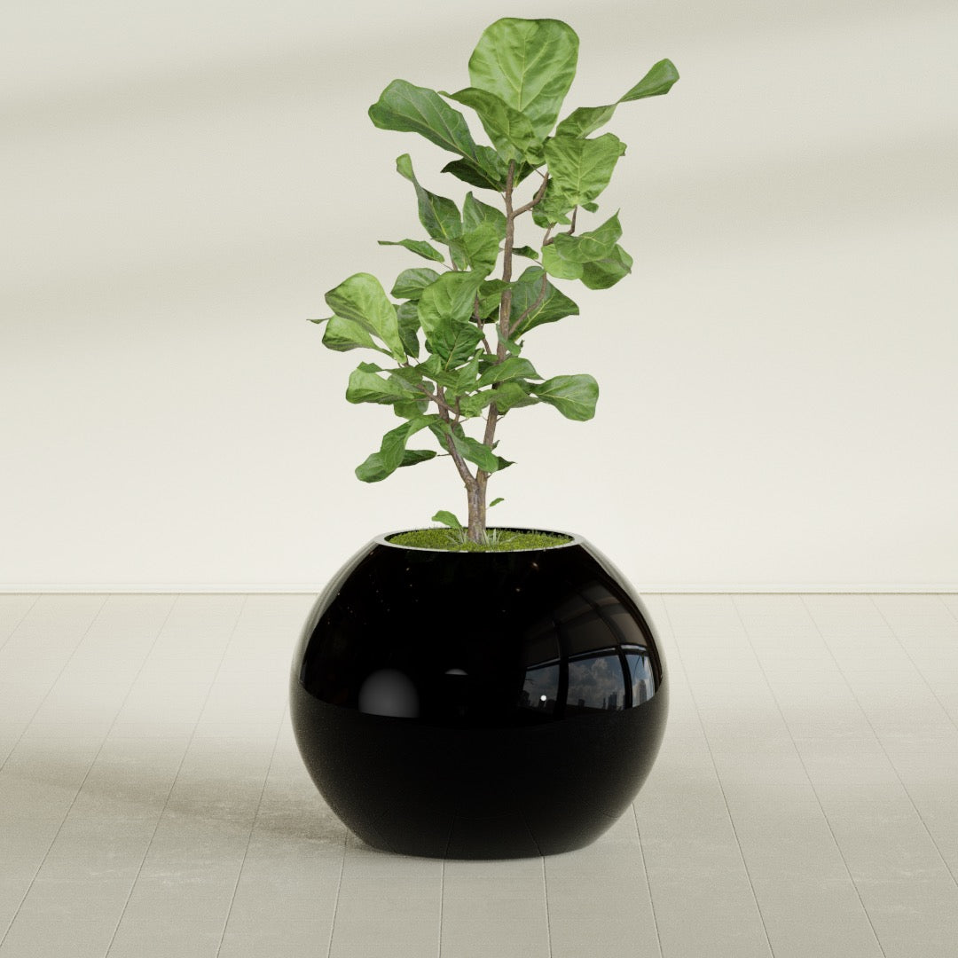 Globe Large Sphere Fiberglass Planter - 30 in x 30 in x 24 in - Gloss Black - Gloss Black,30 in x 30 in x 24 in