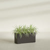 Hollywood Large Narrow Rectangle Fiberglass Planter - 36 in x 12 in x 24 in - Matte Brown - Matte Brown,36 in x 12 in x 24 in