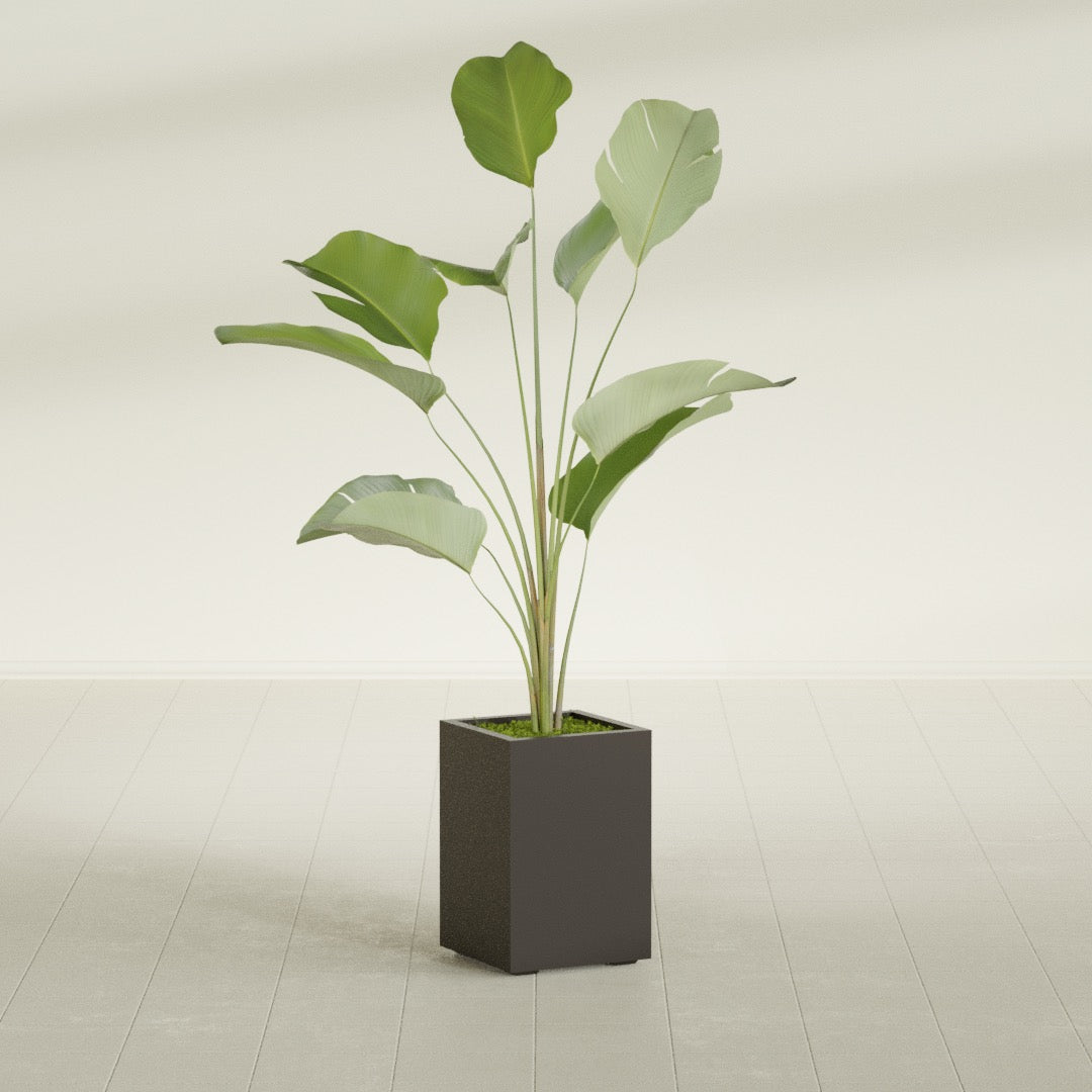 Tolga Medium Rectangle Fiberglass Planter - 16 in x 16 in x 24 in - Matte Brown - Matte Brown,16 in x 16 in x 24 in