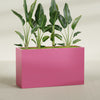 Darwin Extra Large Long Rectangle Fiberglass Planter - 72 in x 24 in x 42 in - Gloss Pink Violet - Gloss Pink Violet,72 in x 24 in x 42 in