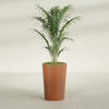 Tegel Medium Round Fiberglass Planter - 18 in x 18 in x 26 in - Matte Terracotta - Matte Terracotta,18 in x 18 in x 26 in