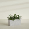 Tapered Rectangle - 36in x 12in x 18in - StoneLight - Greystone - StoneLight - Greystone,36 in x 12 in x 18 in