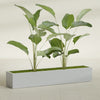 Cuba Extra Large Long Rectangle Fiberglass Planter - 72 in x 14 in x 12 in - Metallic Silver - Metallic Silver,72 in x 14 in x 12 in