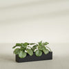 Salon Large Tall Rectangle Fiberglass Planter - 36 in x 8 in x 8 in - Matte Black - Matte Black,36 in x 8 in x 8 in