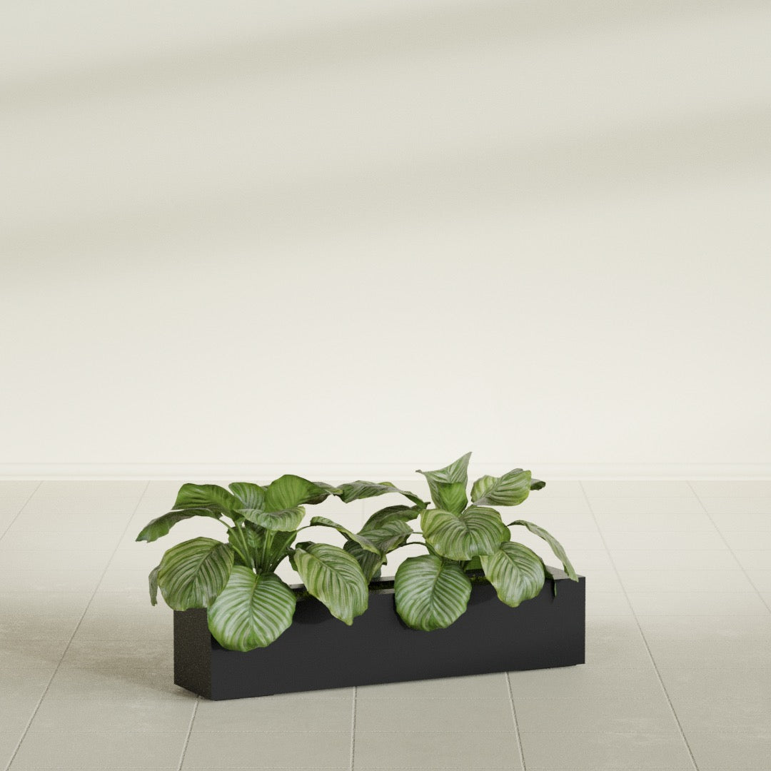 Salon Large Tall Rectangle Fiberglass Planter - 36 in x 8 in x 8 in - Matte Black - Matte Black,36 in x 8 in x 8 in