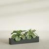 Salon Large Tall Rectangle Fiberglass Planter - 42 in x 8 in x 8 in - Matte Charcoal - Matte Charcoal,42 in x 8 in x 8 in