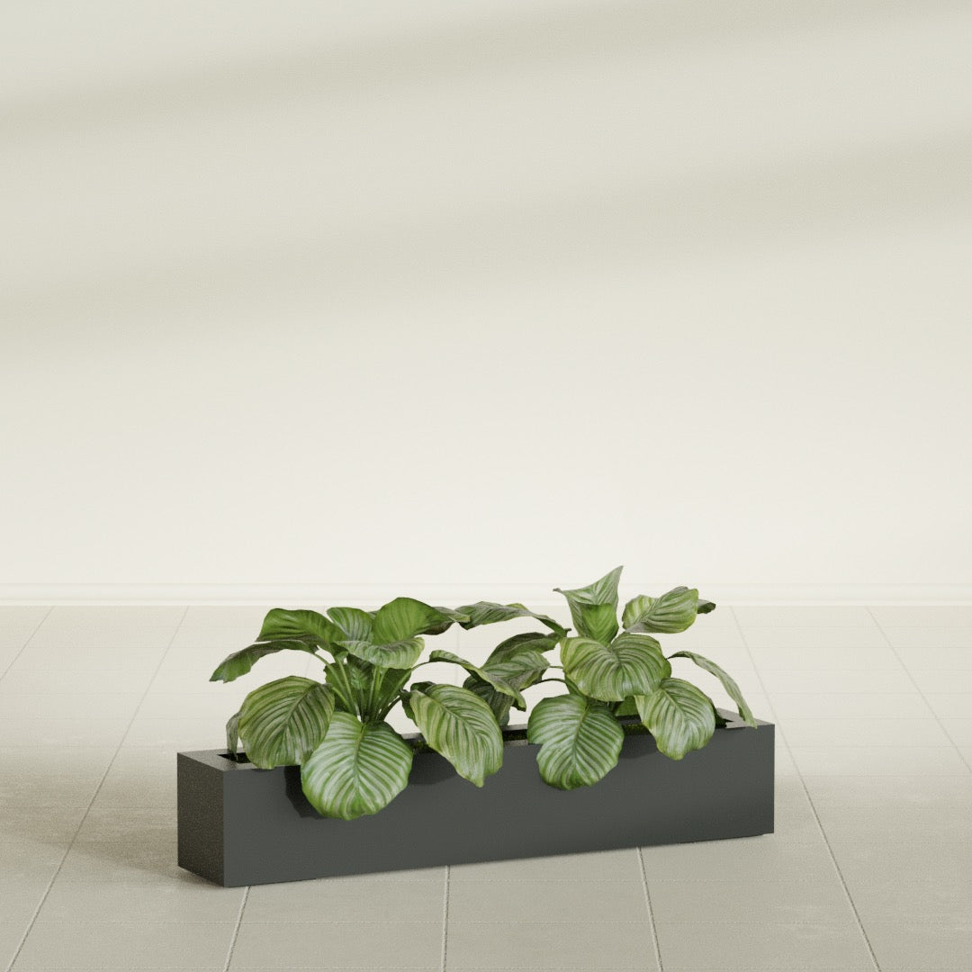 Salon Large Tall Rectangle Fiberglass Planter - 42 in x 8 in x 8 in - Matte Charcoal - Matte Charcoal,42 in x 8 in x 8 in