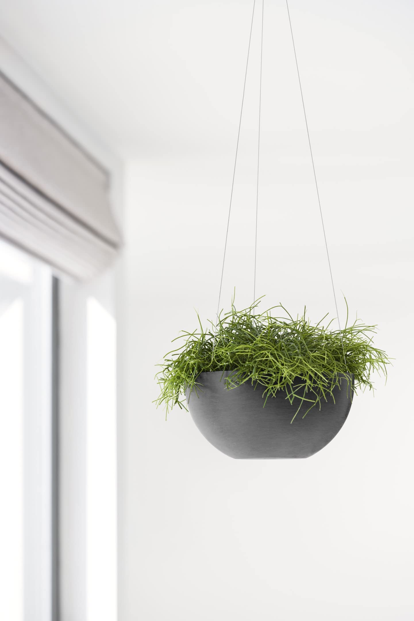 Hanging Brussels Small Bowl Planter - 13 in x 13 in x 6.5 in - Dark Grey - Dark Grey,13 in x 13 in x 6.5 in