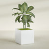 Montroy Large Cube Square Fiberglass Planter - 36 in x 36 in x 36 in - Matte White - Matte White,36 in x 36 in x 36 in