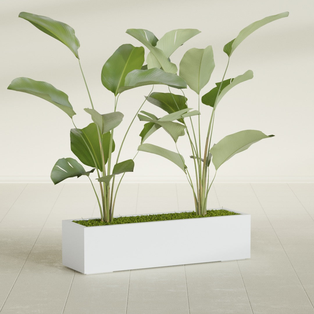 Cuba Large Long Rectangle Fiberglass Planter - 48 in x 14 in x 12 in - Gloss White - Gloss White,48 in x 14 in x 12 in