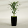 Tegel Medium Round Fiberglass Planter - 18 in x 18 in x 26 in - Gloss Black - Gloss Black,18 in x 18 in x 26 in