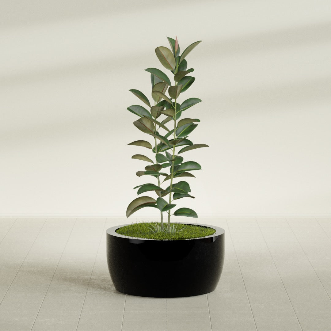 Casablanca Large Round Low Bowl Fiberglass Planter - 30 in x 30 in x 15 in - Gloss Black - Gloss Black,30 in x 30 in x 15 in