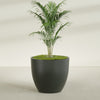 Wannsee Extra Large Round Fiberglass Planter - 50 in x 50 in x 44 in - Matte Charcoal - Matte Charcoal,50 in x 50 in x 44 in